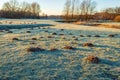 Molehills in the frosted grass of a park Royalty Free Stock Photo