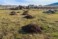 Molehills in a line in a stony field, Turkey