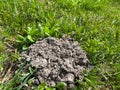 Molehills are relatively small domed mounds or mounds in the form of truncated cones formed as a result of the accumulation of bri