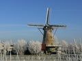 Molen Royalty Free Stock Photo