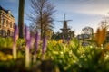 Molen de Valk in Springtime Royalty Free Stock Photo