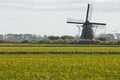 Molen,Mill Royalty Free Stock Photo