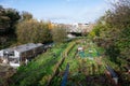 Molenbeek, Brussels Capital Region, Belgium - Cultivated Allotment gardens at the Tour and Taxis city park