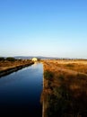 Molentargius regional park, Cagliari, Sardinia, Italy