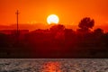 Molentargius by the sunset , sea reflection, Flamingo Royalty Free Stock Photo