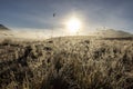 Molesworth Station, morning Mist, NZ Royalty Free Stock Photo