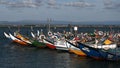 Moliceiros boats , Torreira , Portugal Royalty Free Stock Photo