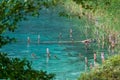 Molina di Ledro, Italy - Original Stilts in the Water of the Lake Ledro as Part of the Prehistoric Pile Dwellings around the Alps