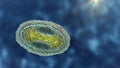 Molluscum contagiosum virus, 3D illustration