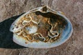 Mollusks Crepidula (Gastropoda) attached to the shell on the sandy shore of a beach near Brighton Beach