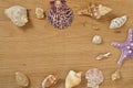 Mollusks on wooden table close up. Seashells on an old wooden table with copy space for text Royalty Free Stock Photo