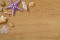 Mollusks on wooden table close up. Seashells on an old wooden table with copy space for text Royalty Free Stock Photo