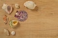 Mollusks on wooden table close up. Seashells on an old wooden table with copy space for text