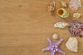 Mollusks on wooden table close up. Seashells on an old wooden table with copy space for text Royalty Free Stock Photo