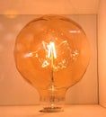Molnart Light Bulb Lighting Glass Lamp Warm White Lights Filaments Non-dimmable Ambience Bulbs Energy Power Electronics Network