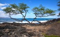 Molokini from Makena Royalty Free Stock Photo