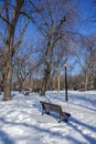 Molson Park, a quiet winter spot