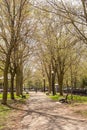 Molson Park at Spring in Montreal