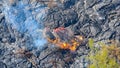 Molten lava flowing out onto grey lava field destroying trees Big Island Hawaii