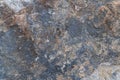 Molybdenite ore texture close-up. Contains feldspar, quartz, molybdenite, pyrite, chalcopyrite