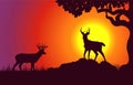 Horoscope symbol on sunset landscape background Royalty Free Stock Photo