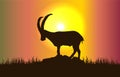 Mountain goat silhouette in gradient sunset background Royalty Free Stock Photo