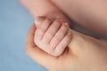 mom and baby newborn baby holding his mother& x27;s hand Royalty Free Stock Photo