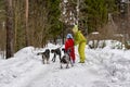 Mom and baby protect themselves from stray dogs in winter forest Royalty Free Stock Photo