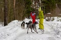 Mom and baby protect themselves from stray dogs in winter forest Royalty Free Stock Photo