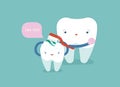 Mom is brushing body of baby tooth, dental concept