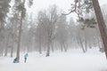 Mom carries the child on a sled up the snowy slope.