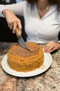 Mom cuts and serves a piece of freshly baked cake, which they have just made at home. The girl baked a cake and slices it Royalty Free Stock Photo