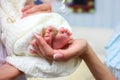 Mom and dad hands hold small legs of their newborn baby, wrapped in a white warm blanket Royalty Free Stock Photo