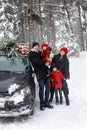 Mom and dad with their daughters in knitted red hats are standing by the car with a submerged Christmas tree on the roof. Royalty Free Stock Photo