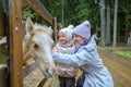 Mom and daughter caress the face of a foal at the petting zoo. Royalty Free Stock Photo