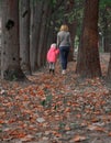 Mom and daughter walk in the park holding hands. Trees are artificially planted in the ranks. Fallen leaf on the ground. Family