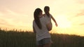 Mom and daughter walk past a wheat field and admire the sun's rays. Happy family mom and daughter in the field at sunset Royalty Free Stock Photo