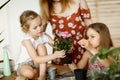 Mom and daughters transplanting indoor flowers