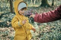 Mom gives little girl in a yellow raincoat with a hood bouquet of spring flowers Royalty Free Stock Photo