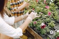 Mom helps her little son plant flowers in the pot in the greenhouse Royalty Free Stock Photo