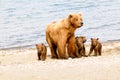 Mom and Her Cubs