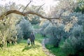 Mom and her little daughter walk hand in hand along the path in the park. Back view