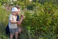 Mom and her little son are picking red currant berries Royalty Free Stock Photo