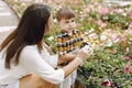 Mom helps her little son plant flowers in the pot in the greenhouse
