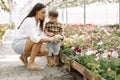 Mom helps her little son plant flowers in the pot in the greenhouse