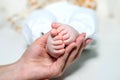 Mom holding baby feet on a white background Royalty Free Stock Photo