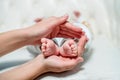 Mom holding newborn baby feet on a white background Royalty Free Stock Photo