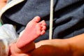 Mom holds in her hand the leg of a newborn baby Royalty Free Stock Photo