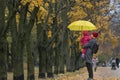 Mom holds a small child in her arms while standing under a yellow umbrella in an autumn park against a background of yellow Royalty Free Stock Photo