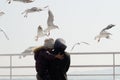 Mom and kid among sea gull bird Royalty Free Stock Photo